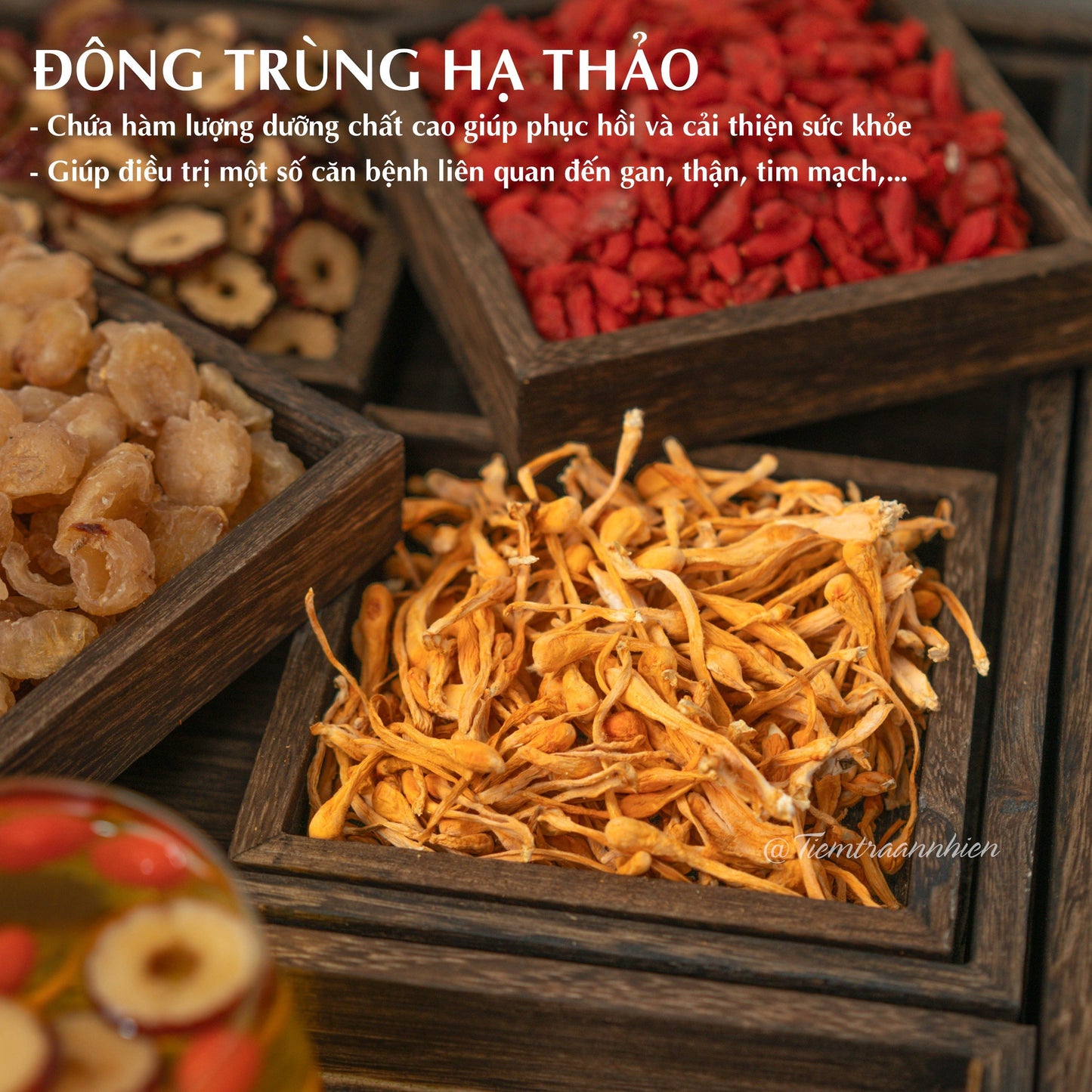 Four Flavor Herbal Cordyceps Tea - Đông trùng hạ thảo